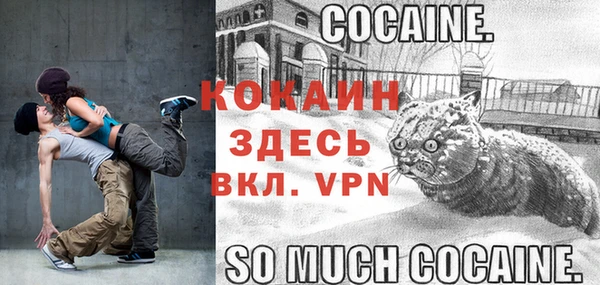 не бодяженный Арсеньев