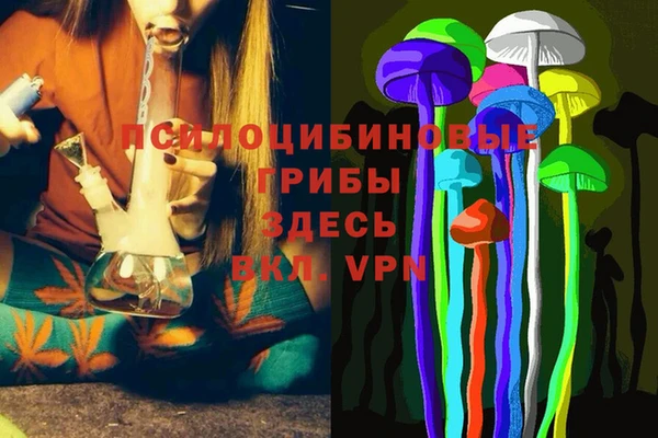не бодяженный Арсеньев