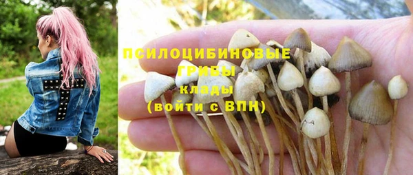 не бодяженный Арсеньев