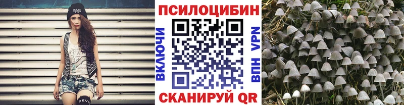 Псилоцибиновые грибы Cubensis Павлово